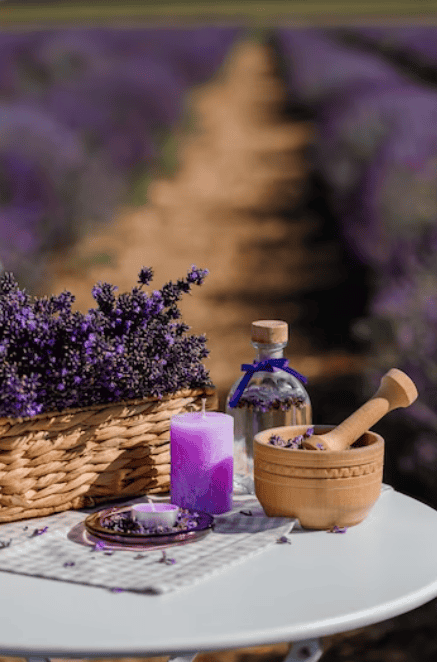 Top Lavender Essential Oil Recipes For 2024