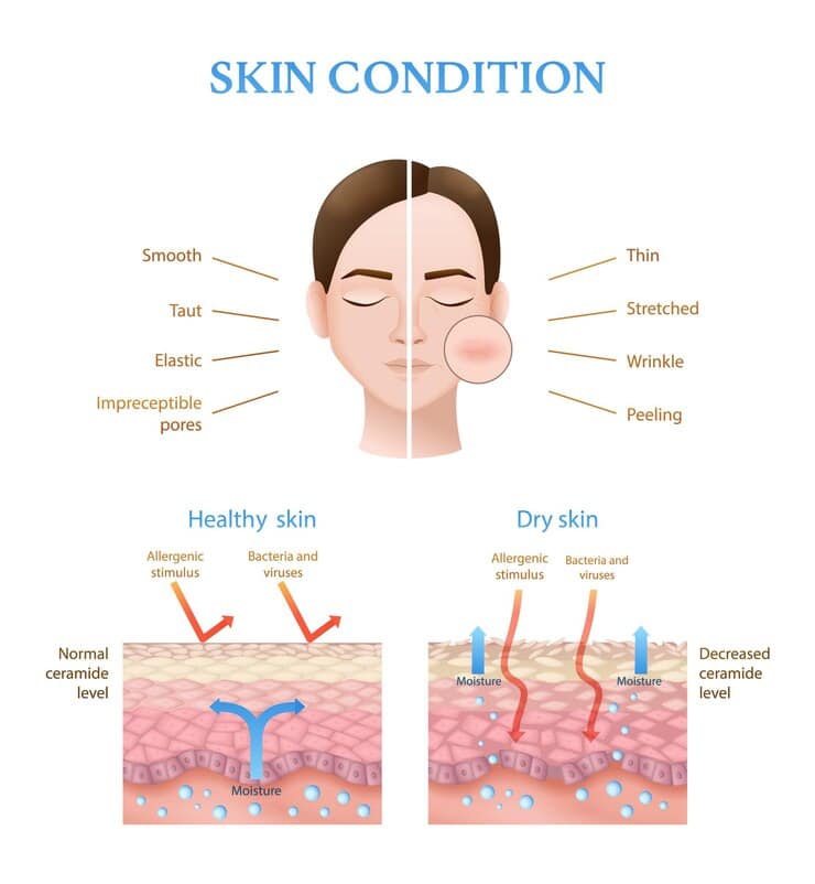 The Secrets of Natural Skin Cell Turnover