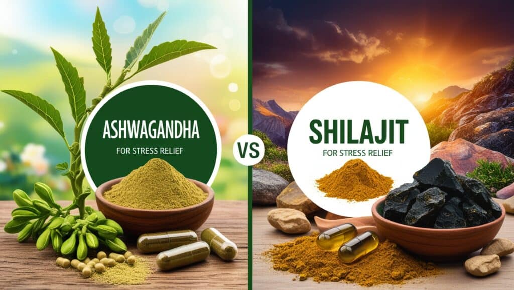 Ashwagandha vs Shilajit comparison for stress relief benefits and natural remedies.