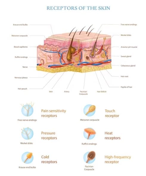 5 Insights| Retinol's Impact on SkinCell Turnover